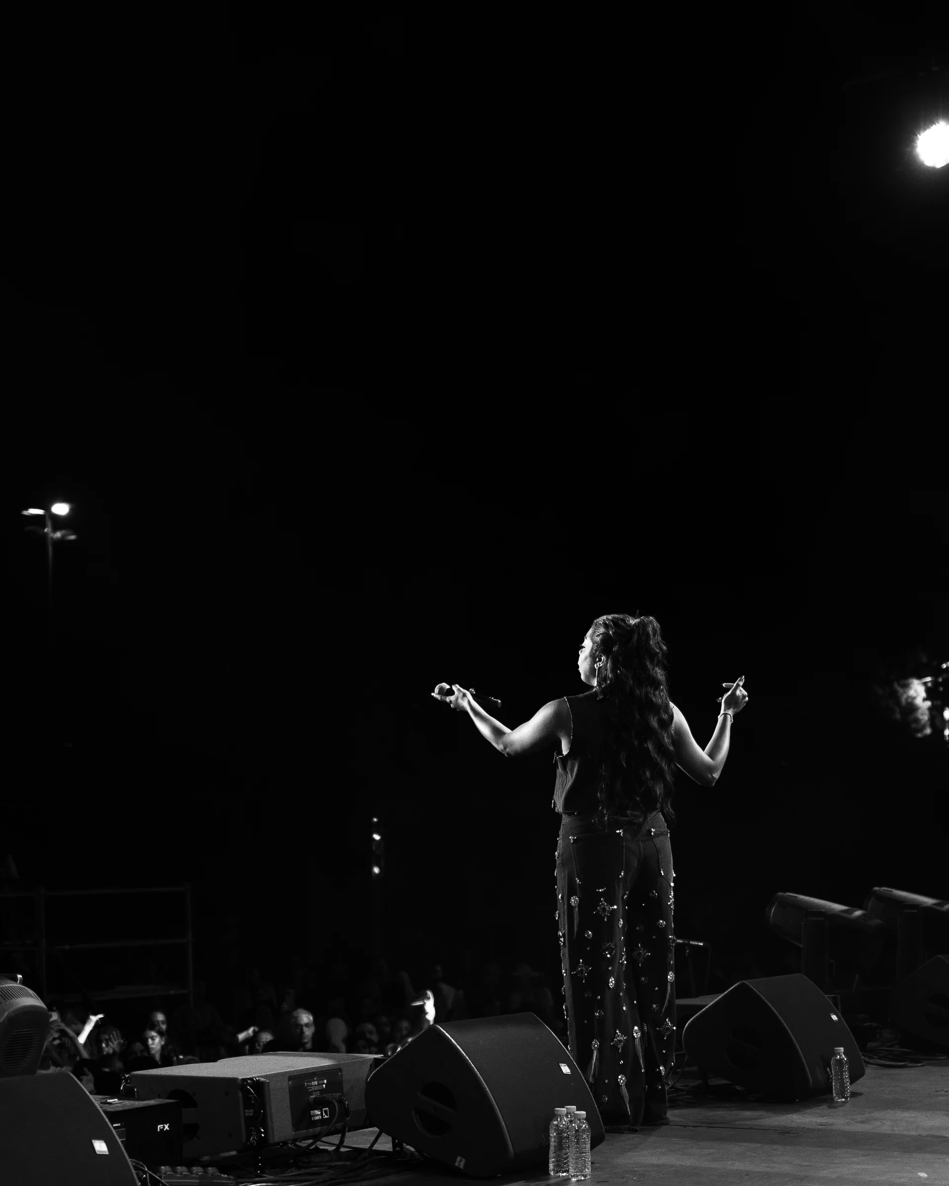 Festival Lights