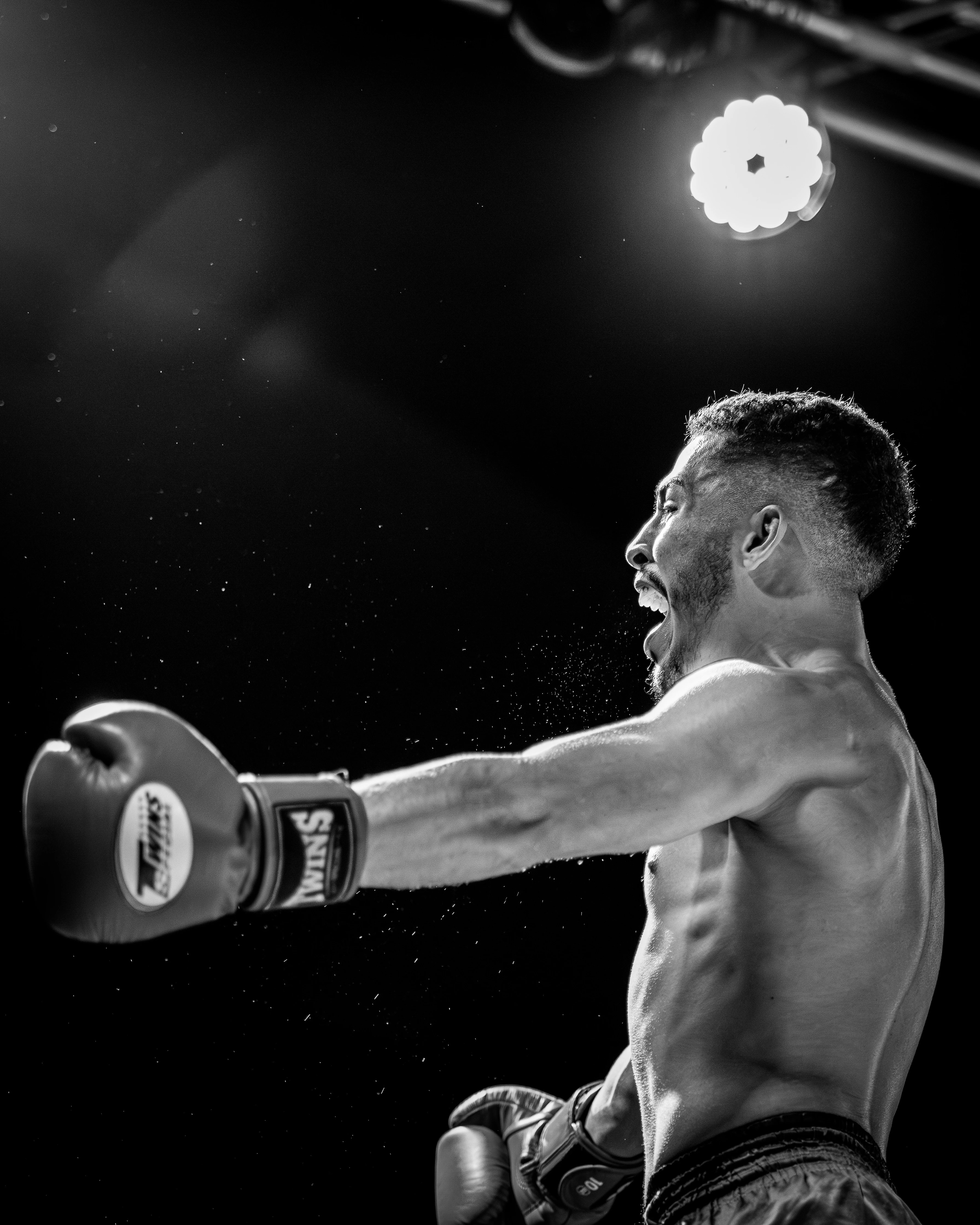 In the Ring